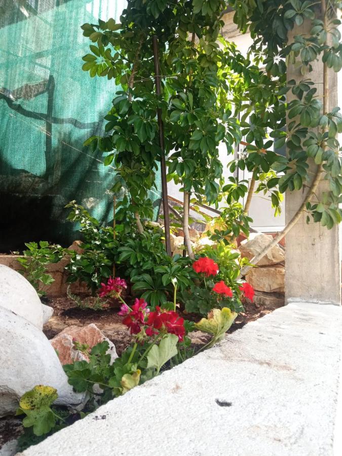 Guest House Inara Neum Exterior photo